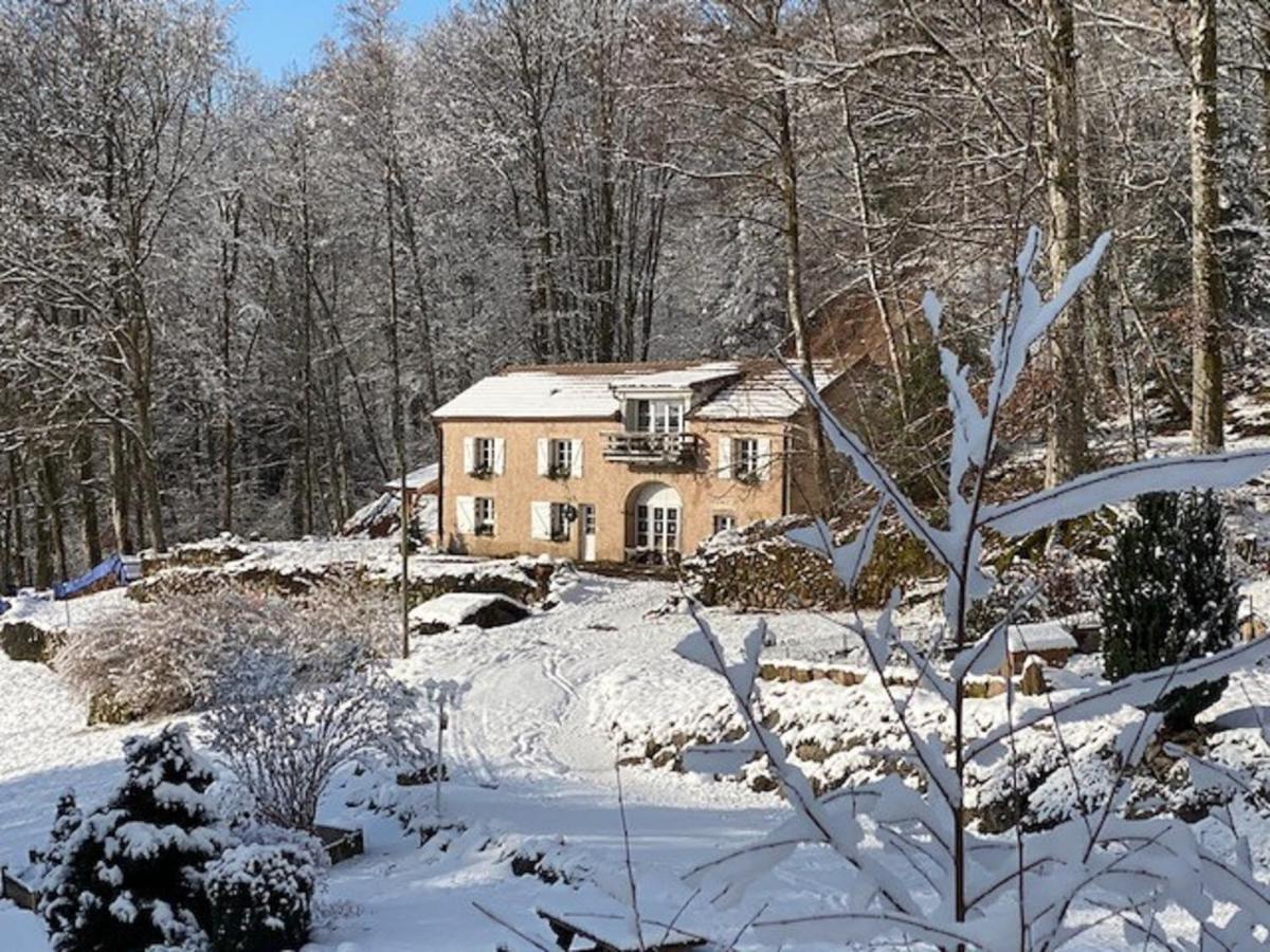 Gite Du Bois Des Hauts Les Mille Etangs La Lanterne-et-les-Armonts Luaran gambar