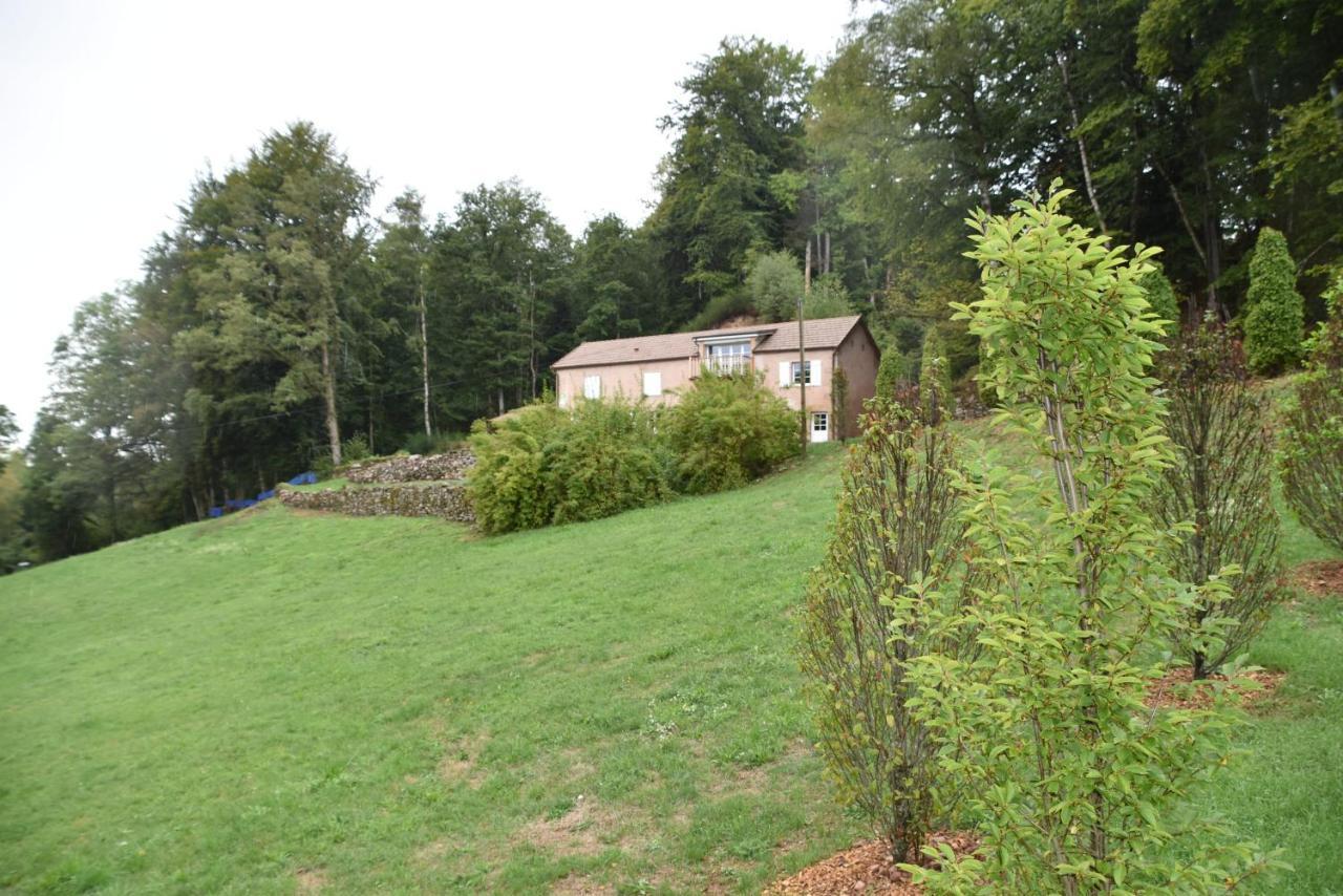 Gite Du Bois Des Hauts Les Mille Etangs La Lanterne-et-les-Armonts Luaran gambar